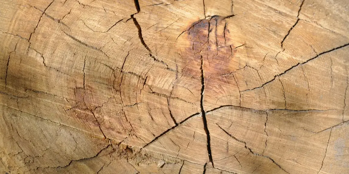 Wood Material Image